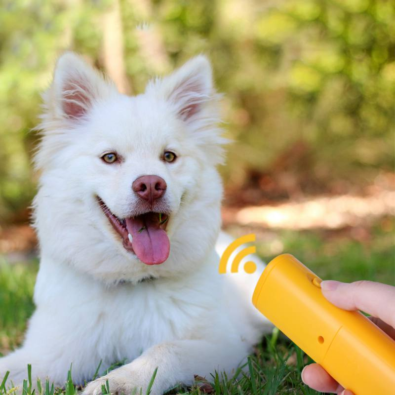 Anti Latido Ultrassônico Inofensivo Para Treinamento De Cães e Espanta Cães de Rua (shop 360 Graus) 🔥